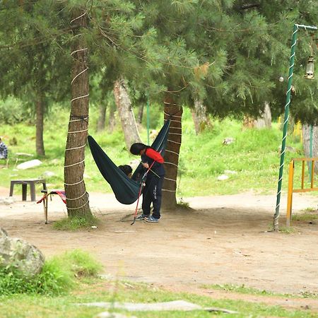 Himtrek Riverside Camps, Kasol Bagian luar foto