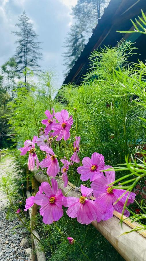 Himtrek Riverside Camps, Kasol Bagian luar foto