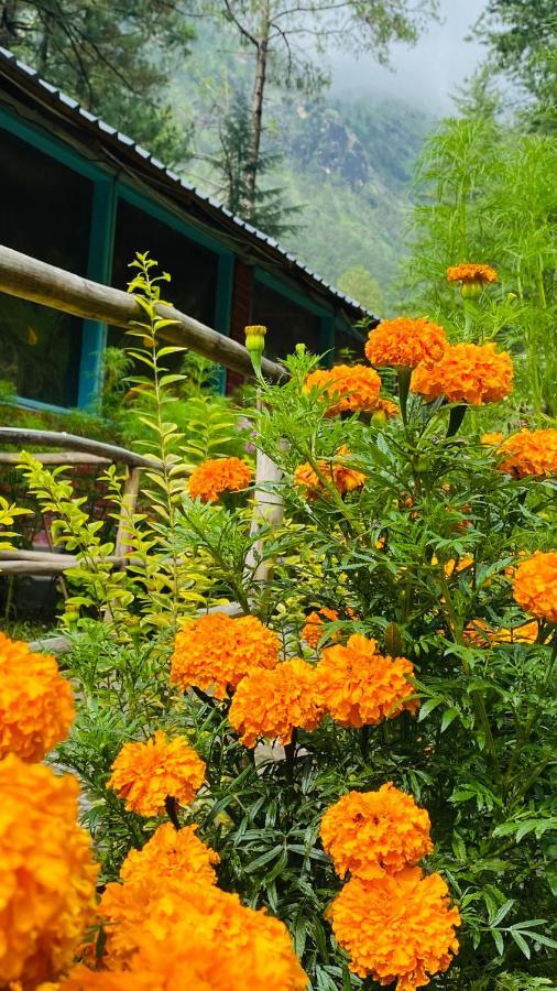 Himtrek Riverside Camps, Kasol Bagian luar foto
