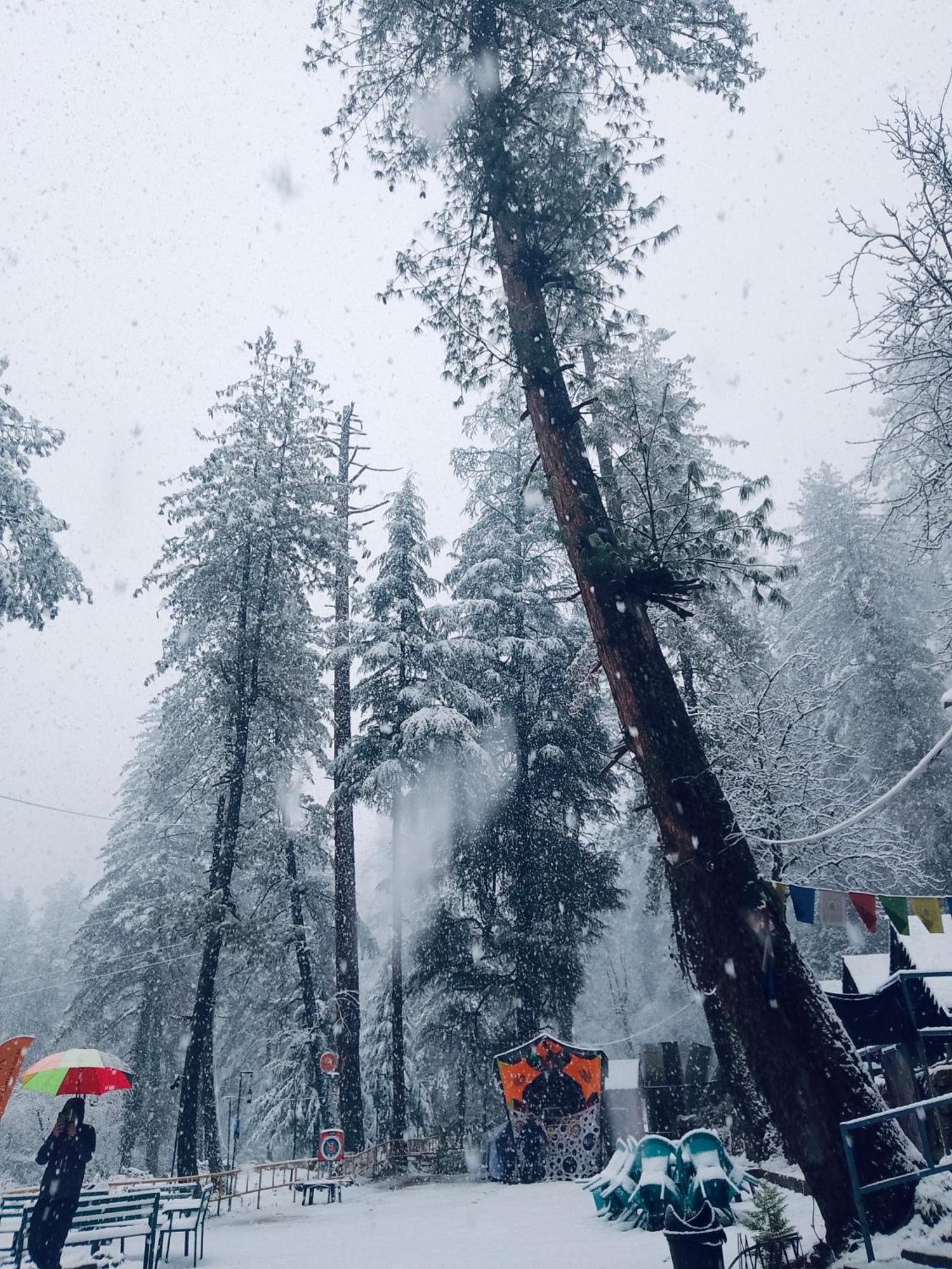 Himtrek Riverside Camps, Kasol Bagian luar foto